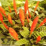 Artwork for "Rework"