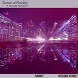 Artwork for "Dance of Fluidity"