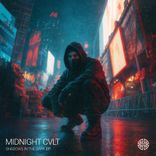 Artwork für "Shadows in the Dark"