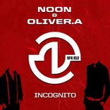 Artwork voor "Incognito"