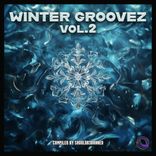 Artwork for "Winter Groovez, Vol.2 (Compiled by Shouldb3Banned)"