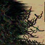 Portada para "RetroRespecTikal"