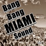 Artwork voor "Bang Bang Miami Sound, Vol. 1"