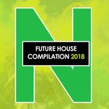Artwork for "Future House Compilation 2018"