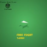 Artwork for "Free Flight"