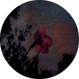 Artwork for "Moon Light EP"