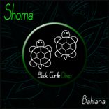 Portada para "Bahiana"