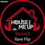 Artwork for "Rave Flip"