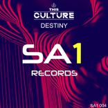 Artwork for "Destiny"