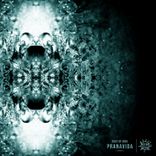 Artwork for "Pranavida"