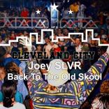Artwork voor "Back to the Old Skool"