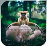 Artwork for "Mushroom Alignment"