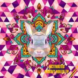 Artwork voor "Rabbit Holes"