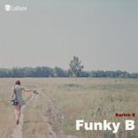 Artwork for "Funky B"