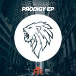 Artwork voor "Prodigy"