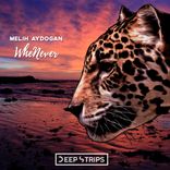 Artwork for "Whenever"