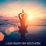 Artwork voor "Calm Sounds For Meditation"