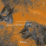 Artwork for "Elephant in the Room"