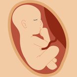 Artwork for "Som Do Útero"