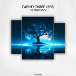 Where Did It All Go Wrong