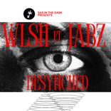 Artwork für "DESYNCHED"