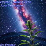 Artwork voor "House Music Gives You Pleasure"