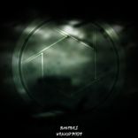 Artwork für "Wrecked Birds"