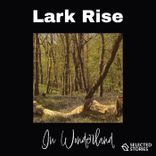 Portada para "In Wonderland"