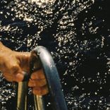 Artwork für "Cherry"