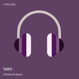 Artwork for "Finish Kumalo"