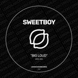 Artwork voor "Big Loud"