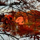 Artwork for "Heartbeat"