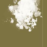 Artwork for "Octode"