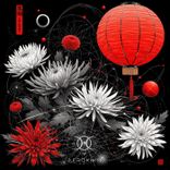 Portada para "Noctura"