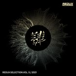 Portada para "Redux Selection Vol. 5 / 2021"