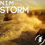 Artwork for "Storm"