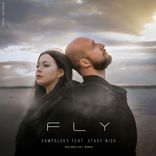 Artwork for "Fly"