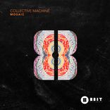 Portada para "Mosaic"