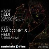 Artwork for "Subliminal / Paranoia (Remix)"