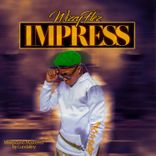 Artwork voor "Impress"