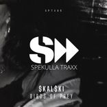 Artwork for "Birth Of Prey"