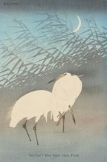 You Can't Hide From Your Fears