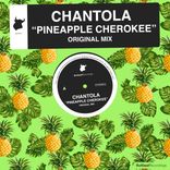 Artwork for "Pineapple Cherokee"