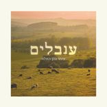 Artwork voor "ענבלים"
