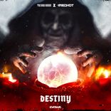 Artwork for "DESTINY"