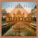 Artwork voor "Different"