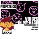 Artwork voor "Voices In My Head"