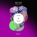 Portada para "Deep State, Vol. 5"
