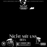 Artwork voor "Nicht mit uns Beta"