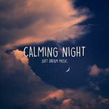 Artwork voor "Calming Night"